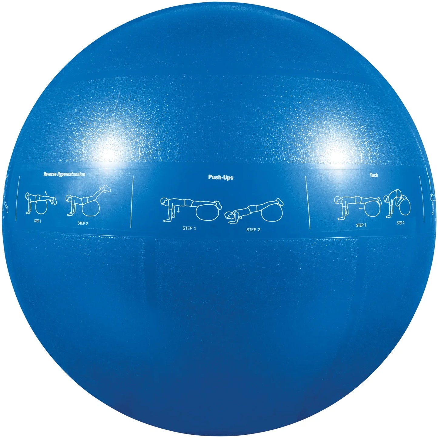 GF-55PRO Professional Grade Core Stability Ball (75 Cm; Blue) & GF-YOGA Yoga Mat with Yoga Position Poster
