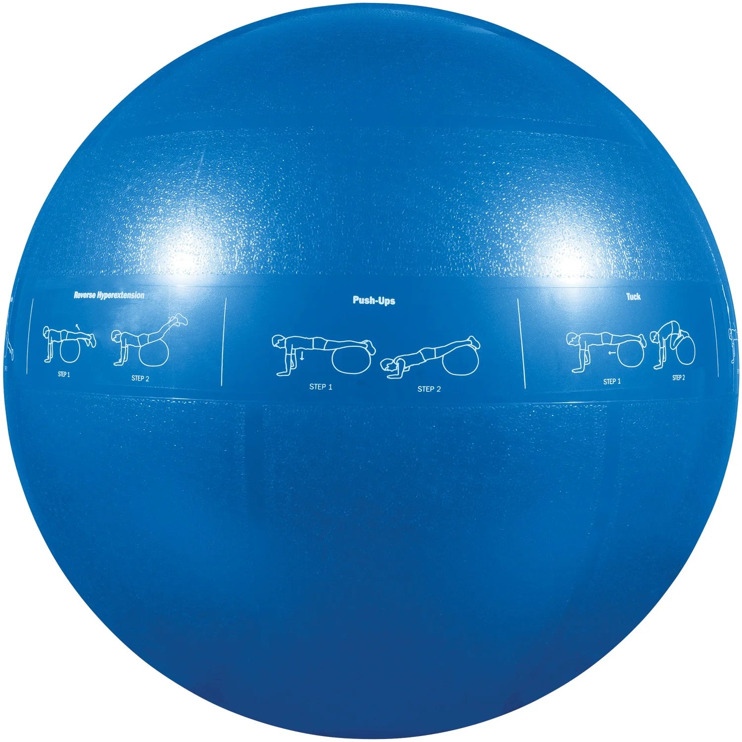 GF-55PRO Professional Grade Core Stability Ball (75 Cm; Blue) & GF-YOGA Yoga Mat with Yoga Position Poster